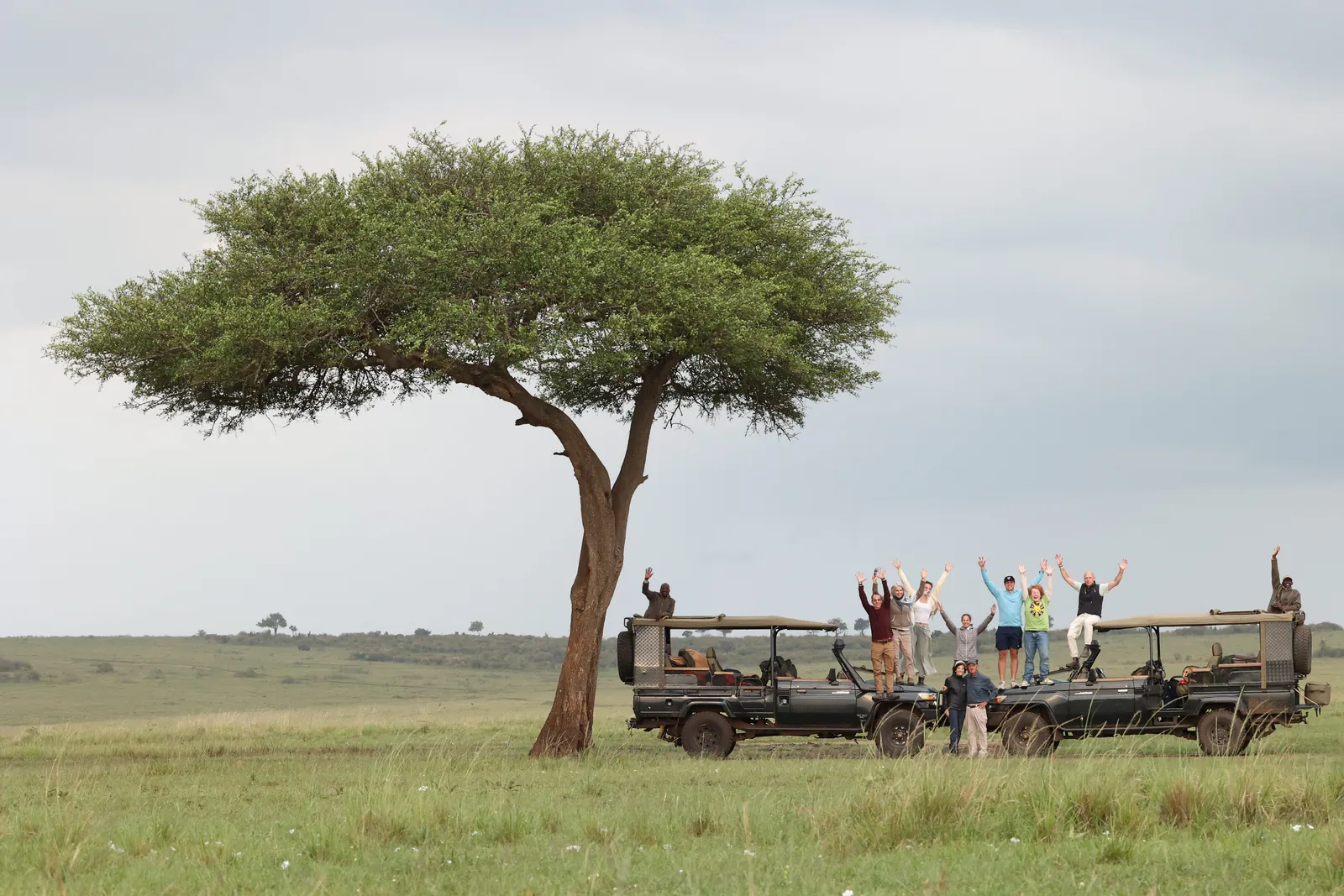 Family group cheering from safari vehicles under an acacia tree